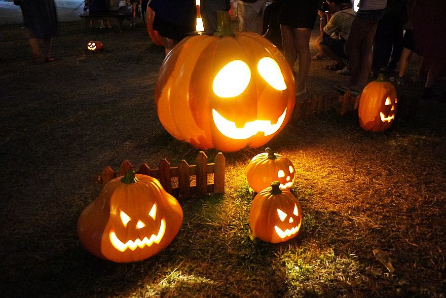 P1660924.jpg P1660924.jpg