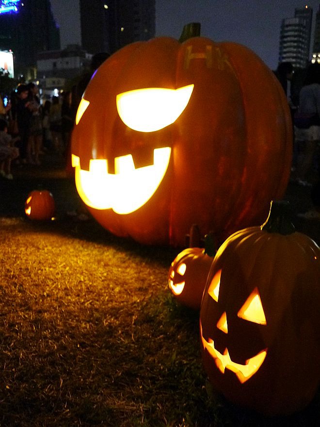 P1660950.jpg P1660950.jpg