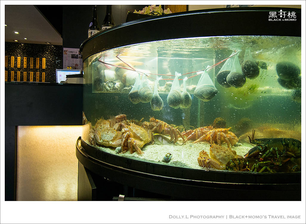 140928-P007.jpg 140928-P007.jpg