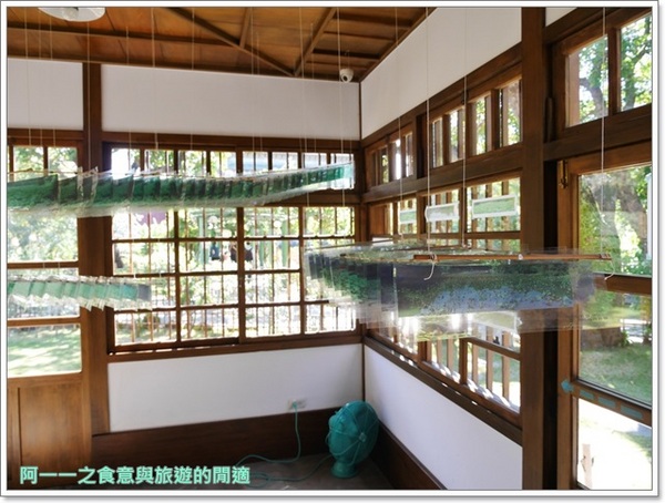 南門町三二三：台北景點 南門町三二三～隱藏植物園的日式老屋