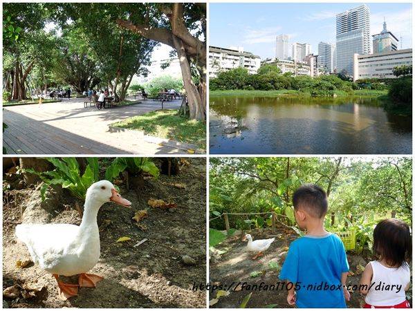 【台北住宿】富裕自由商旅-忠孝館 RF Hotel #台北二日遊 #台北景點 #台北行程推薦 #台北餐廳 #東區住宿 #東區住宿推薦 #東區平價住宿  (4).jpg