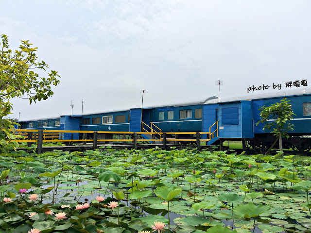 【苗栗 通霄】石蓮園🚂🚂🚂老字號鐵道火車餐廳&民宿，超適合帶小孩來放電，終於一圓在火車上吃鐵路便當的夢想，搭配一旁無敵海景，大大滿足💖💖💖