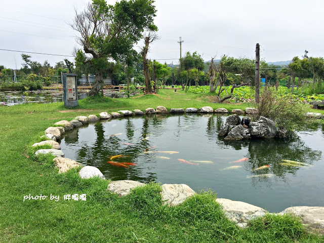 【苗栗 通霄】石蓮園🚂🚂🚂老字號鐵道火車餐廳&民宿，超適合帶小孩來放電，終於一圓在火車上吃鐵路便當的夢想，搭配一旁無敵海景，大大滿足💖💖💖