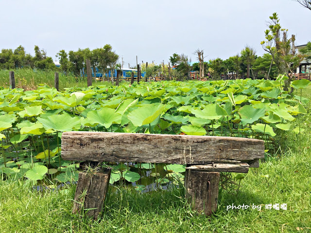 【苗栗 通霄】石蓮園🚂🚂🚂老字號鐵道火車餐廳&民宿，超適合帶小孩來放電，終於一圓在火車上吃鐵路便當的夢想，搭配一旁無敵海景，大大滿足💖💖💖