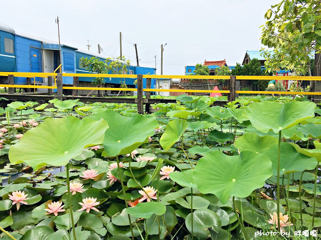 【苗栗 通霄】石蓮園🚂🚂🚂老字號鐵道火車餐廳&民宿，超適合帶小孩來放電，終於一圓在火車上吃鐵路便當的夢想，搭配一旁無敵海景，大大滿足💖💖💖