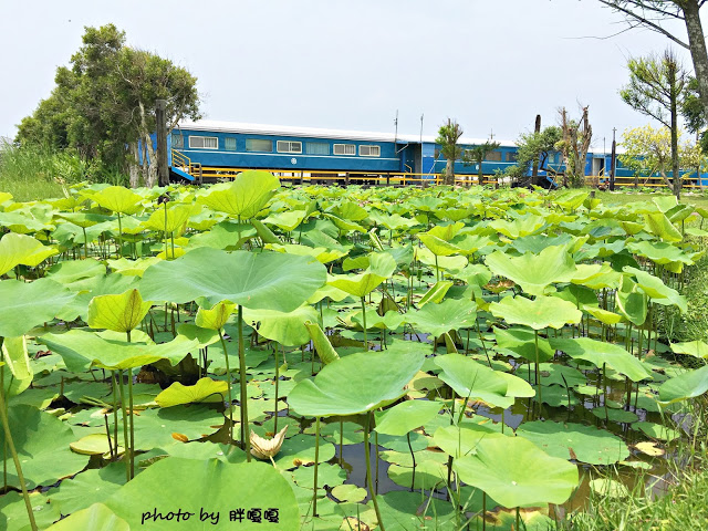 【苗栗 通霄】石蓮園🚂🚂🚂老字號鐵道火車餐廳&民宿，超適合帶小孩來放電，終於一圓在火車上吃鐵路便當的夢想，搭配一旁無敵海景，大大滿足💖💖💖