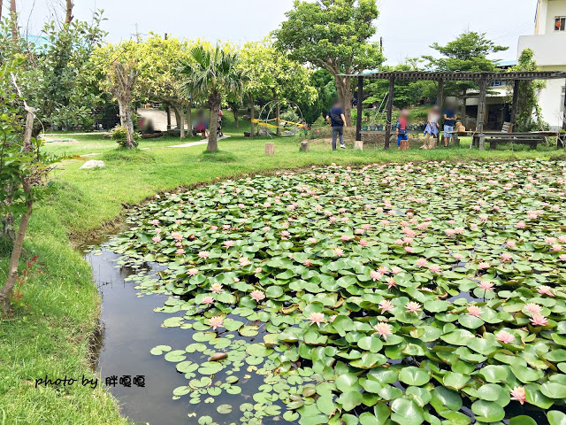 【苗栗 通霄】石蓮園🚂🚂🚂老字號鐵道火車餐廳&民宿，超適合帶小孩來放電，終於一圓在火車上吃鐵路便當的夢想，搭配一旁無敵海景，大大滿足💖💖💖