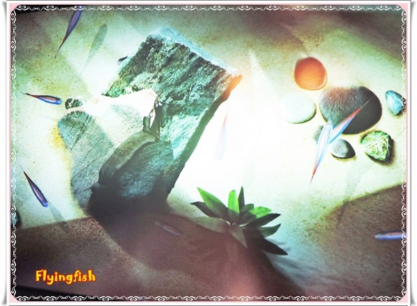 元璋玻璃科技館：✜ 有趣滴玻璃世界近距離接觸驚喜微旅行!－基隆「元璋玻璃科技館」◕‿◠｡