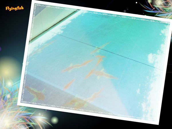 元璋玻璃科技館：✜ 有趣滴玻璃世界近距離接觸驚喜微旅行!－基隆「元璋玻璃科技館」◕‿◠｡