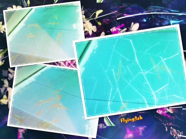 元璋玻璃科技館：✜ 有趣滴玻璃世界近距離接觸驚喜微旅行!－基隆「元璋玻璃科技館」◕‿◠｡