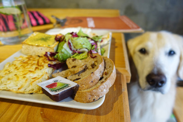 紅蔥-26.jpg 紅蔥-26.jpg