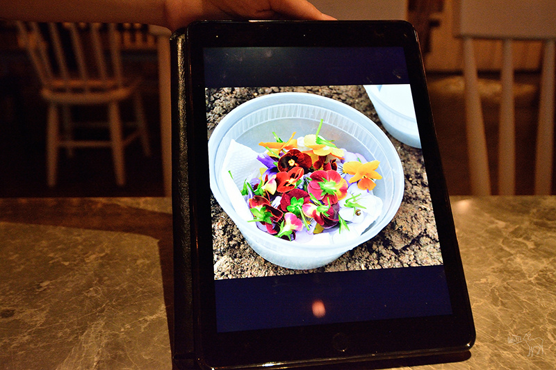 驢子餐廳 L'IDIOT 乾式熟成丁骨牛排與龍蝦燉飯,台北林森北路華泰飯店美食,捷運雙連站