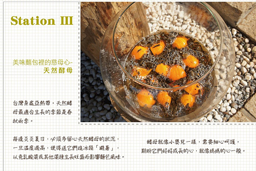 (推薦)[淡水 樹林口]突破障礙、寄予夢想與熱情，尋覓隱藏版的美味甜點~阿凡真鄉野烘焙館