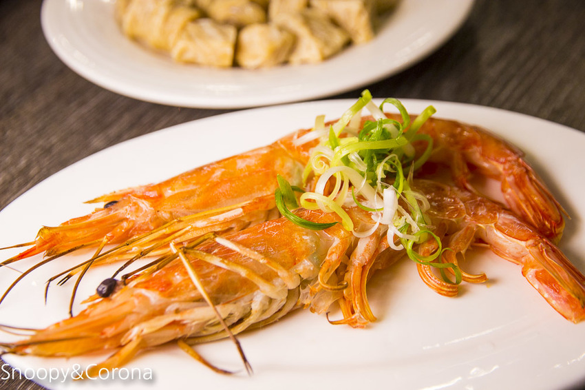 【台北美食】台北車站美食／瓦法奇朵～經典四川火鍋半價、正宗四川菜買一送一、下午茶點任點2杯飲料即可1元加購享繽紛莓果爆漿蛋糕
