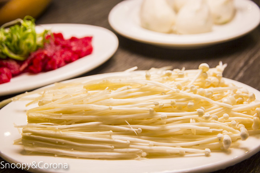 【台北美食】台北車站美食／瓦法奇朵～經典四川火鍋半價、正宗四川菜買一送一、下午茶點任點2杯飲料即可1元加購享繽紛莓果爆漿蛋糕