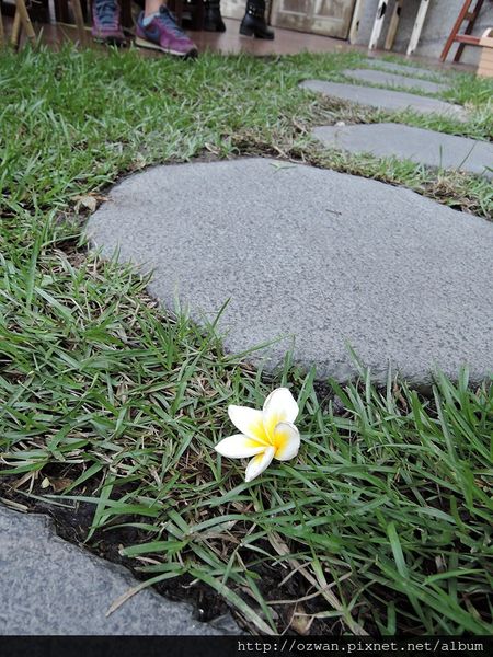 [吃喝]巷弄老宅裡的法式甜點～窩巷 Hidden Lane。