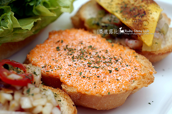 DSC08557.jpg DSC08557.jpg