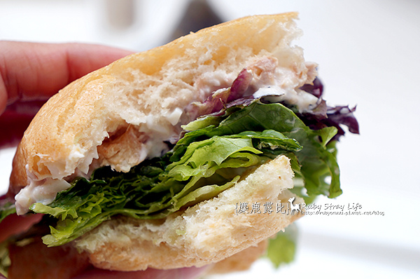 DSC08600.jpg DSC08600.jpg