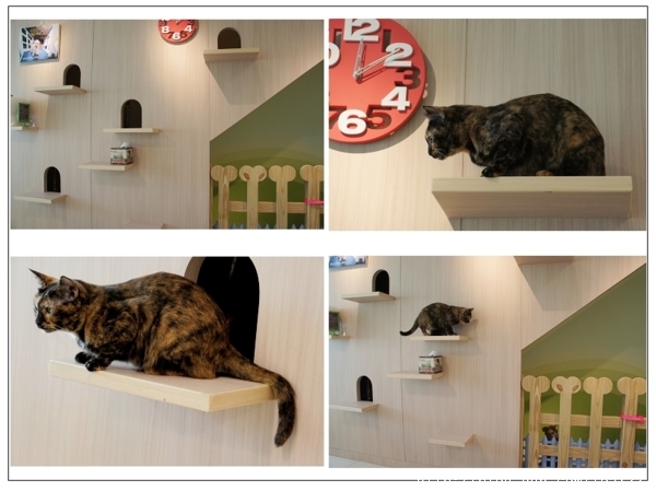 一間結合了美食與大愛的咖啡簡餐店--HOMECAFE。幸福。好食。咖啡