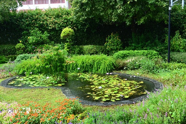 DSC_0177.JPG DSC_0177.JPG