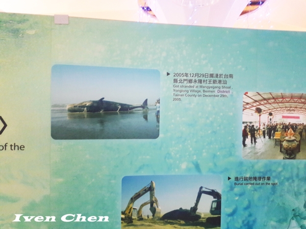 北門遊客中心：《台南景點》2016.12.31台南之旅->北門水晶教堂-> 高跟鞋教堂