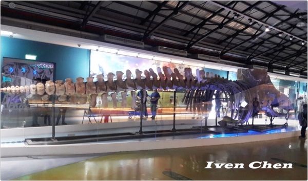 北門遊客中心：《台南景點》2016.12.31台南之旅->北門水晶教堂-> 高跟鞋教堂