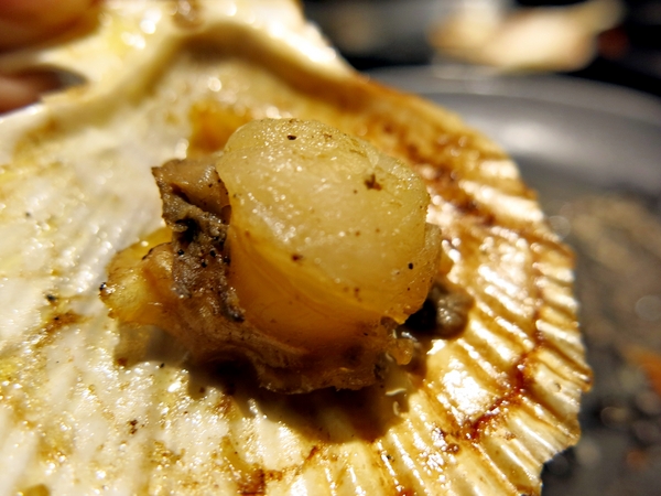 【捷運美食】瓦崎燒烤火鍋-敦南店~精緻單點/哈根達斯冰淇淋吃到飽/台灣啤酒無限暢飲/滿足饕客味蕾