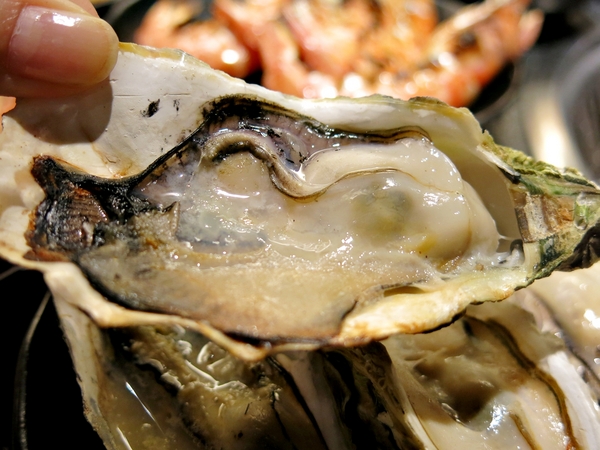 【捷運美食】瓦崎燒烤火鍋-敦南店~精緻單點/哈根達斯冰淇淋吃到飽/台灣啤酒無限暢飲/滿足饕客味蕾