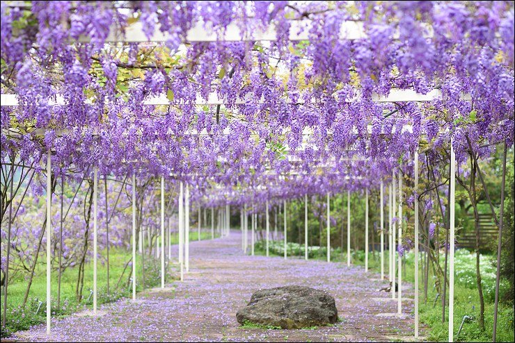 DSC_3612_00204 DSC_3612_00204