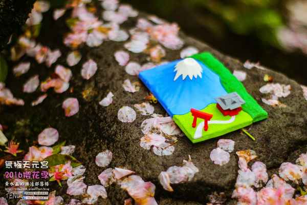 淡水無極天元宮(2016櫻花季)|新北市/淡水區(每年一到這時節，必來這裡走一回。2016/03/20)