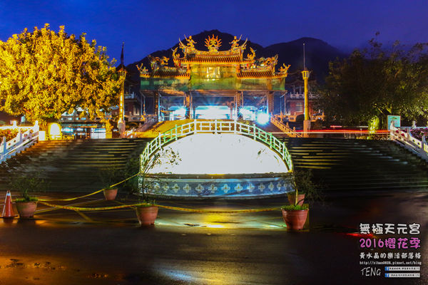 淡水無極天元宮(2016櫻花季)|新北市/淡水區(每年一到這時節，必來這裡走一回。2016/03/20)