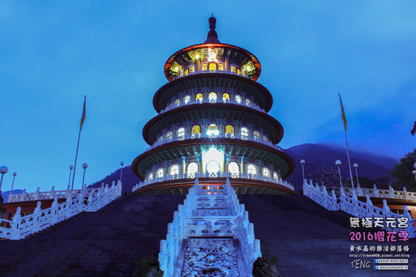 淡水無極天元宮(2016櫻花季)|新北市/淡水區(每年一到這時節，必來這裡走一回。2016/03/20)