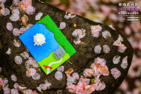 淡水無極天元宮(2016櫻花季)|新北市/淡水區(每年一到這時節，必來這裡走一回。2016/03/20)