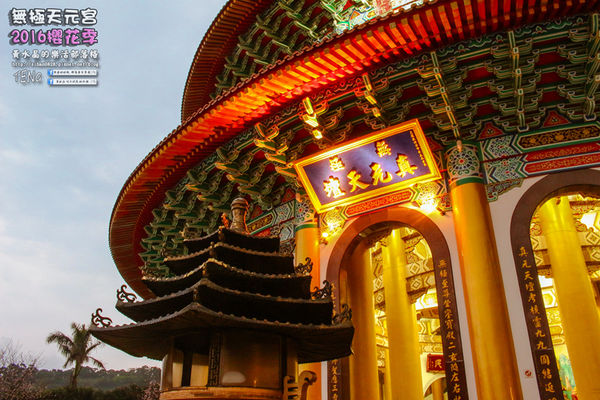 淡水無極天元宮(2016櫻花季)|新北市/淡水區(每年一到這時節，必來這裡走一回。2016/03/20)