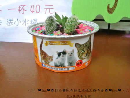 散布甜食現燒焦糖布蕾:【食記】oO。彰化 鹿港 散布甜食現燒焦糖布蕾 手作現燒焦糖烤布蕾 什麼?!現在居然出現了超療癒且人類也可以食用的貓罐頭?!。o○。 散布甜食現燒焦糖布蕾:【食記】oO。彰化 鹿港 散布甜食現燒焦糖布蕾 手作現燒焦糖烤布蕾 什麼?!現在居然出現了超療癒且人類也可以食用的貓罐頭?!。o○。