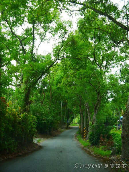 P1470167.JPG P1470167.JPG