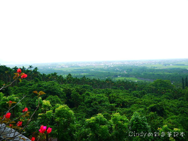 P1460980.JPG P1460980.JPG