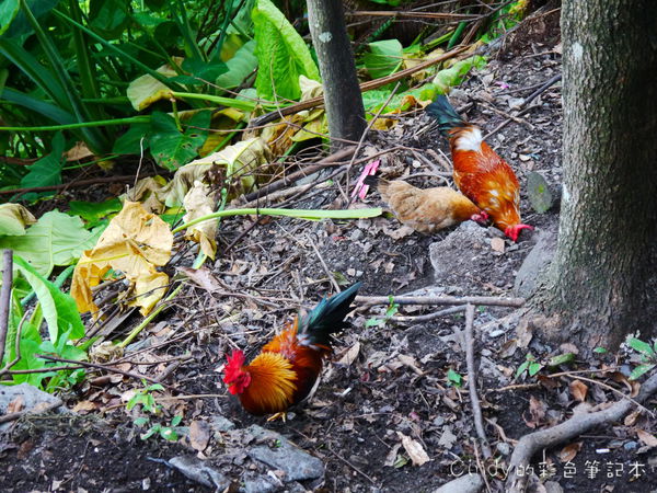 P1470127.JPG P1470127.JPG