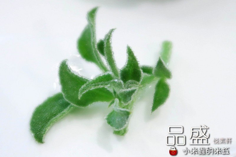 【捷運松江南京站】品盛悅素軒蔬食餐廳~精緻蔬食多國創意料理