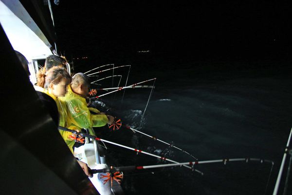 【澎湖夜釣小管】來到澎湖一定要體驗的夜釣小管