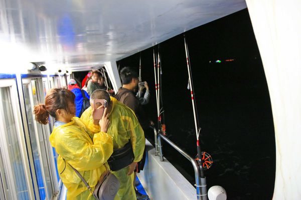 【澎湖夜釣小管】來到澎湖一定要體驗的夜釣小管