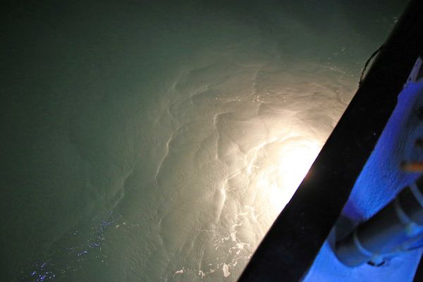 【澎湖夜釣小管】來到澎湖一定要體驗的夜釣小管