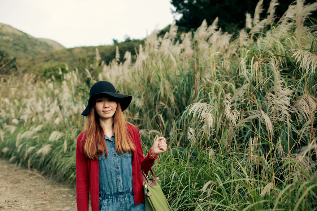 二子坪的管芒草散步小記
