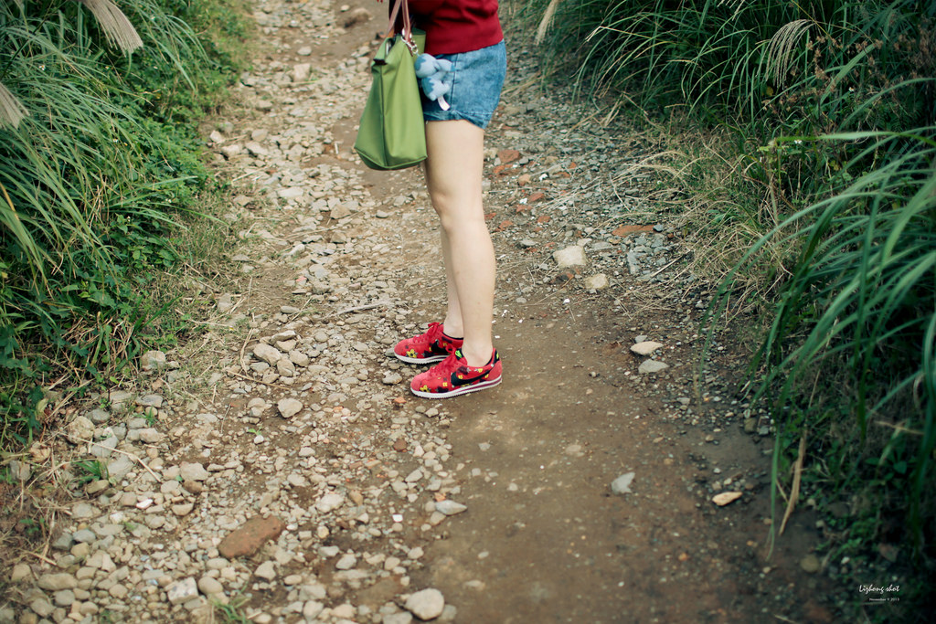 二子坪的管芒草散步小記 二子坪的管芒草散步小記