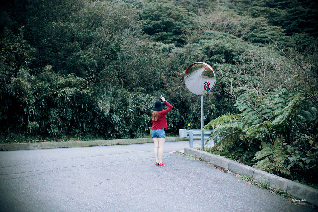 二子坪的管芒草散步小記 二子坪的管芒草散步小記