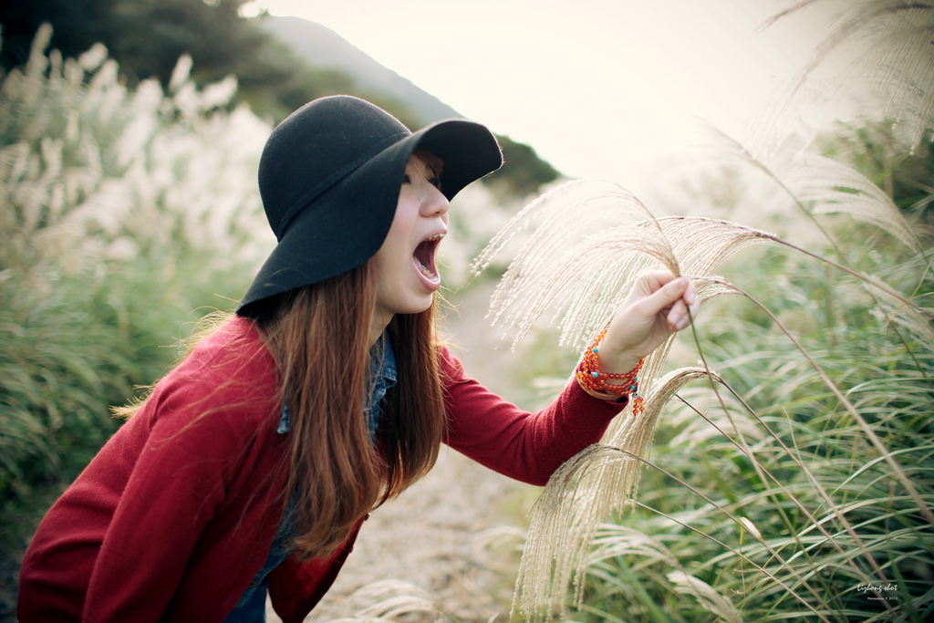 二子坪的管芒草散步小記 二子坪的管芒草散步小記