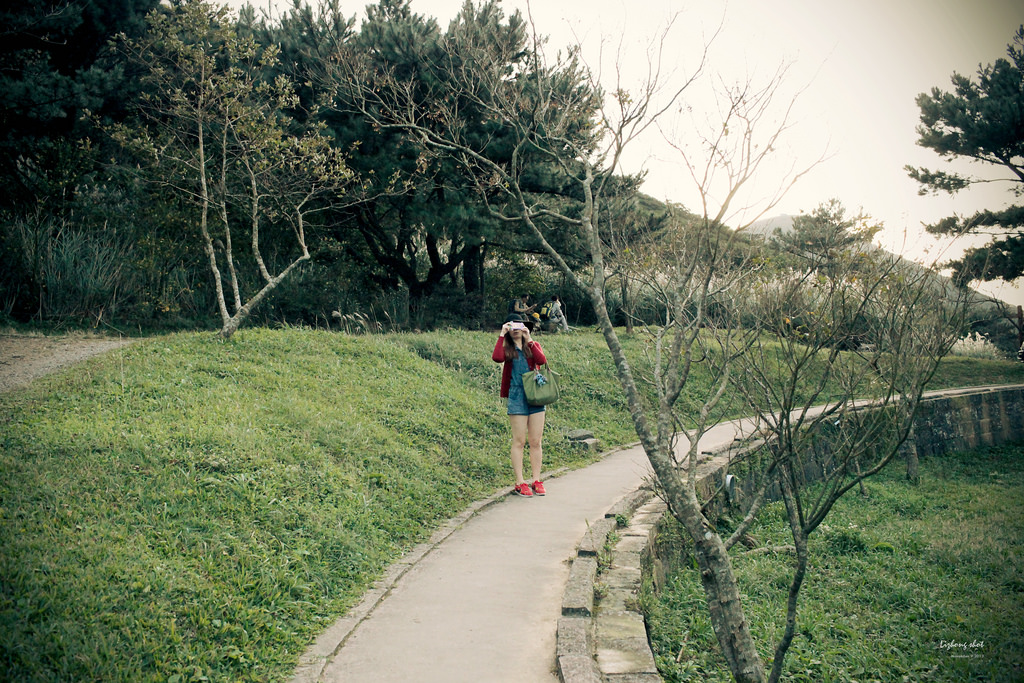 二子坪的管芒草散步小記 二子坪的管芒草散步小記