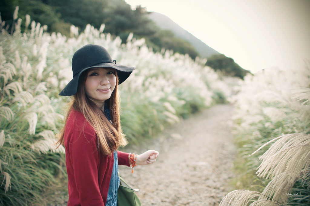 二子坪的管芒草散步小記 二子坪的管芒草散步小記