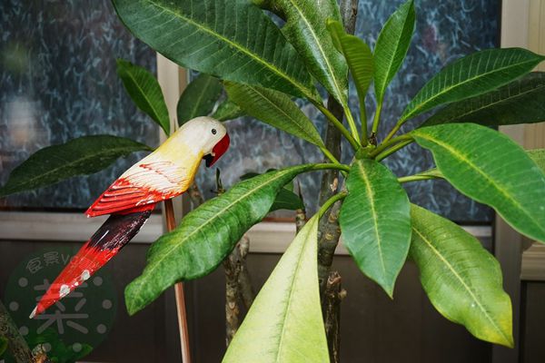 DSC09292 (複製).jpg