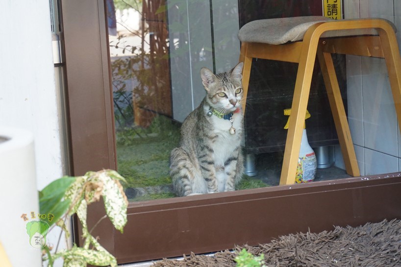 DSC01663.JPG DSC01663.JPG